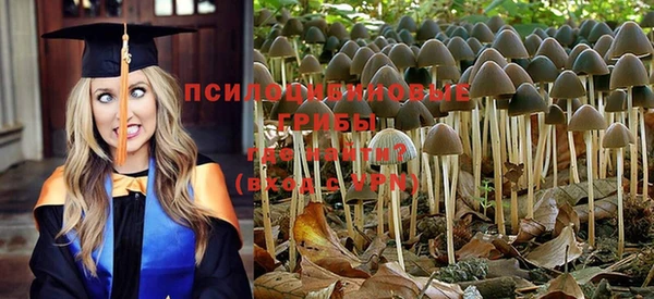 spice Алексин