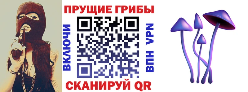 Галлюциногенные грибы мухоморы  Чехов 